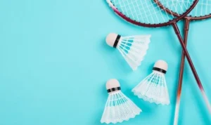 Cầu Lông Tại Vui123