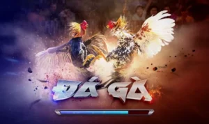 Đá Gà 3D Tại Vui123