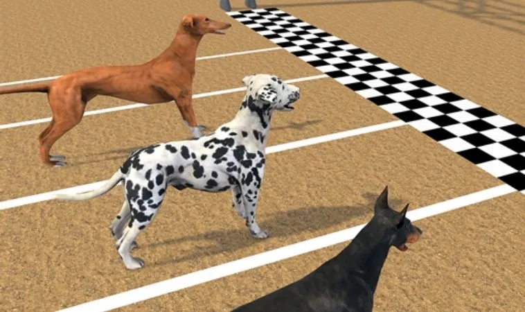 Cách chơi game nhanh Đua Chó Tại Vui123