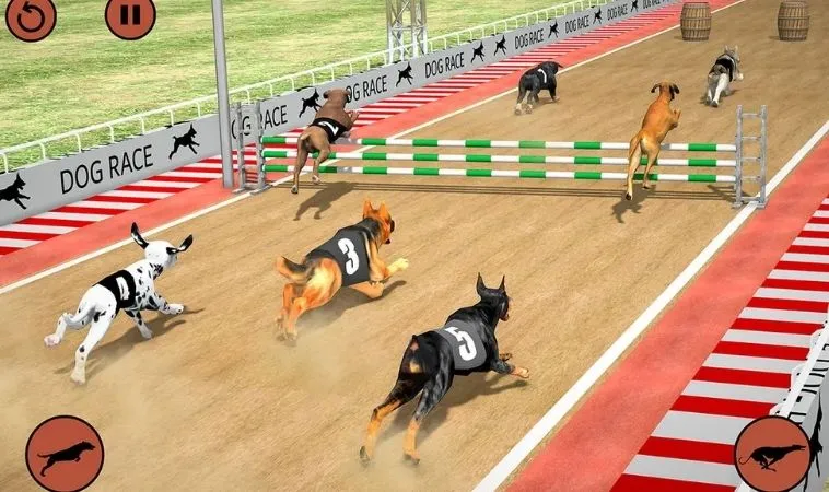 Đua Chó Tại Vui123