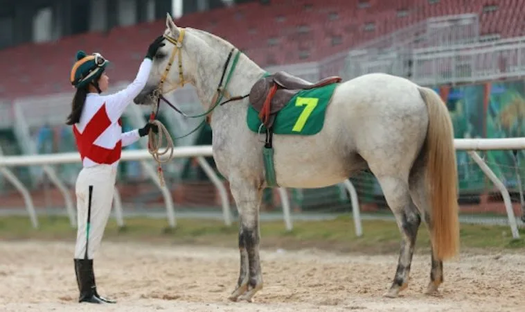 Bí Kíp Tìm Hiểu Cá Cược Đua Ngựa Vui123 Siêu Tốc Độ Và Kịch Tính 1 Đua Ngựa Vui123