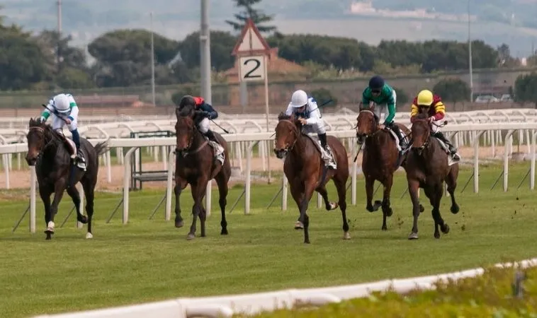 Bí Kíp Tìm Hiểu Cá Cược Đua Ngựa Vui123 Siêu Tốc Độ Và Kịch Tính 2 Cần tìm hiểu kỹ về bộ môn Đua Ngựa Vui123 trước khi cá cược